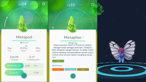 evolucion-de-caterpie-todos-los-trucos-evolucion-a-caterpie